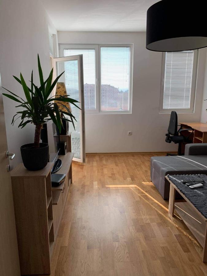 Apartman Aleksic Ni Exteriér fotografie