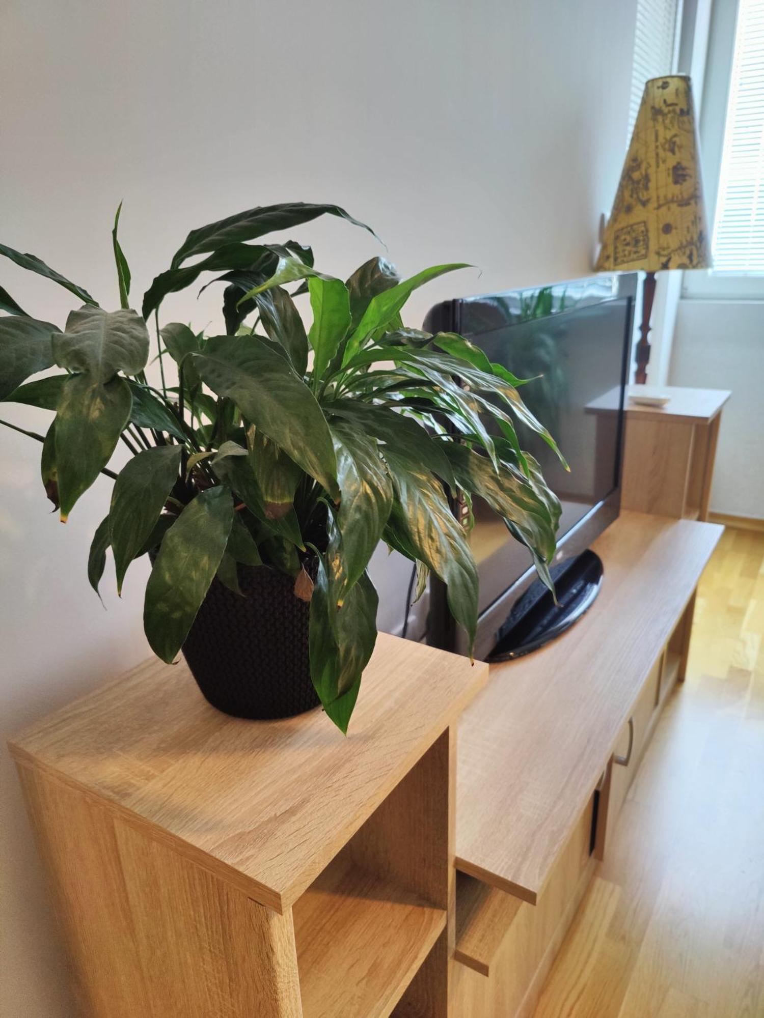 Apartman Aleksic Ni Exteriér fotografie