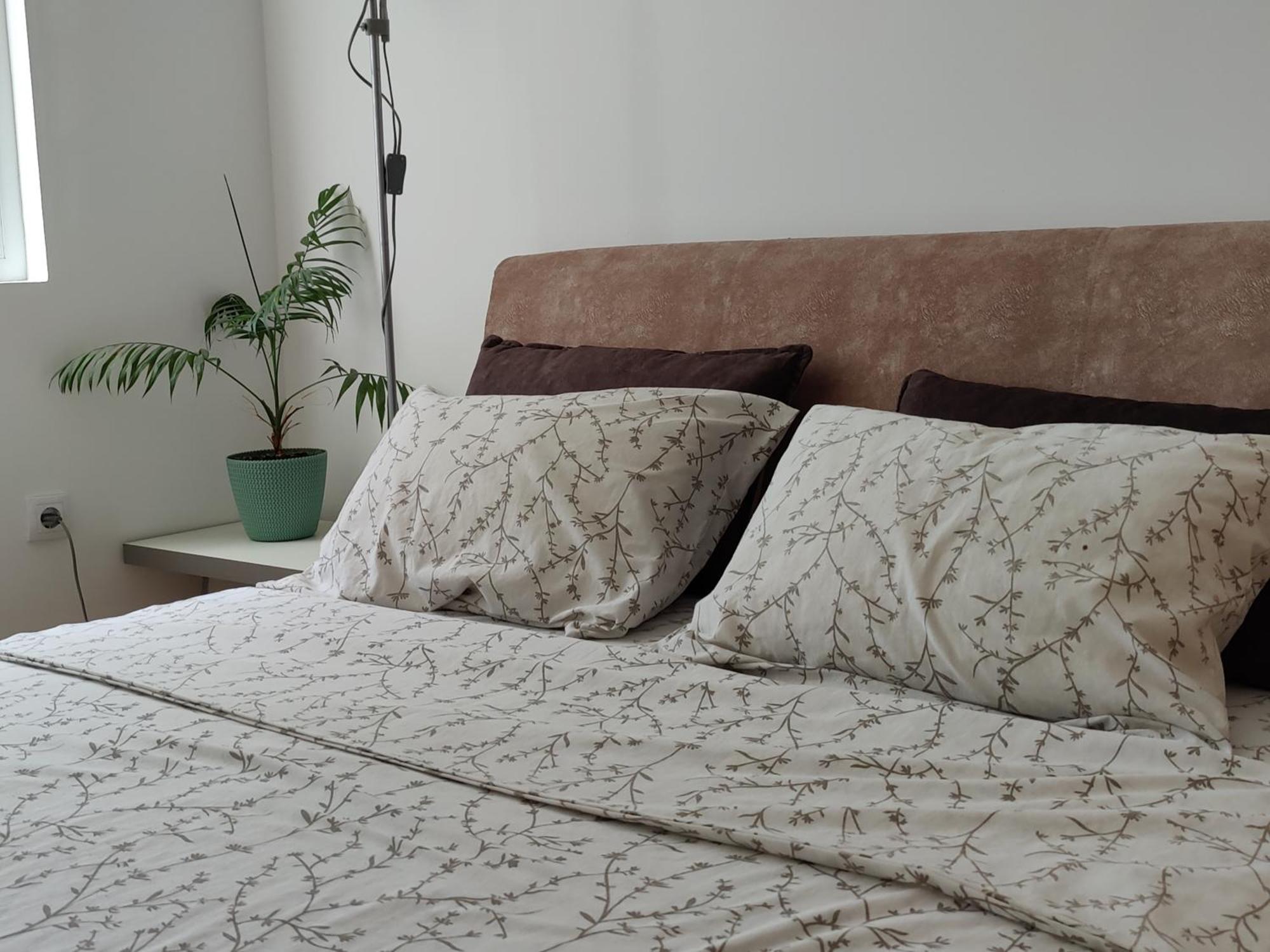 Apartman Aleksic Ni Exteriér fotografie